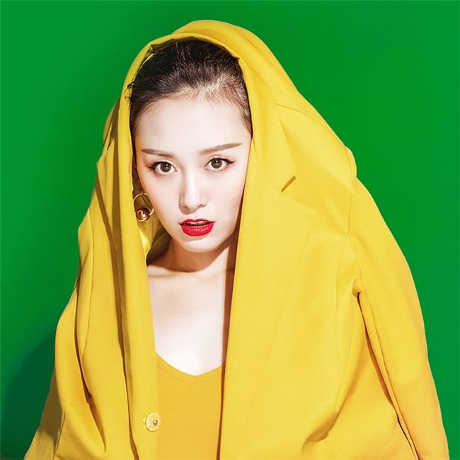 300*400cm Thicken Solid Color Photography Background Curtain